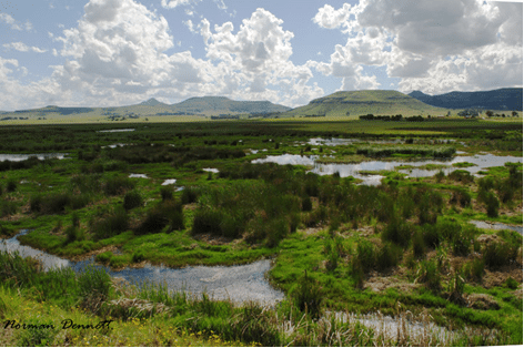 Right to mine coal in protected environment contested