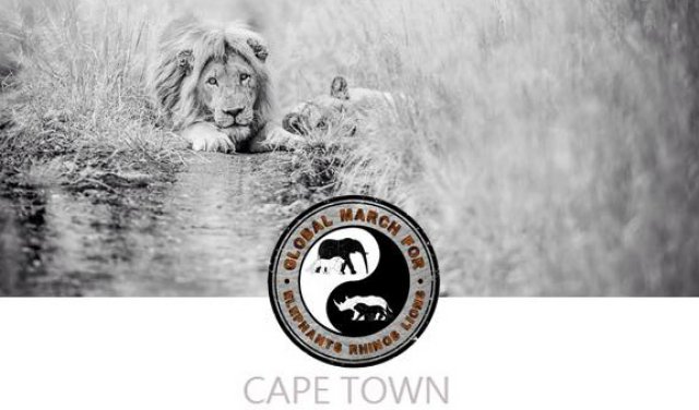 Fairbridges Wertheim Becker supports the Global March for Elephants, Lions and Rhinos