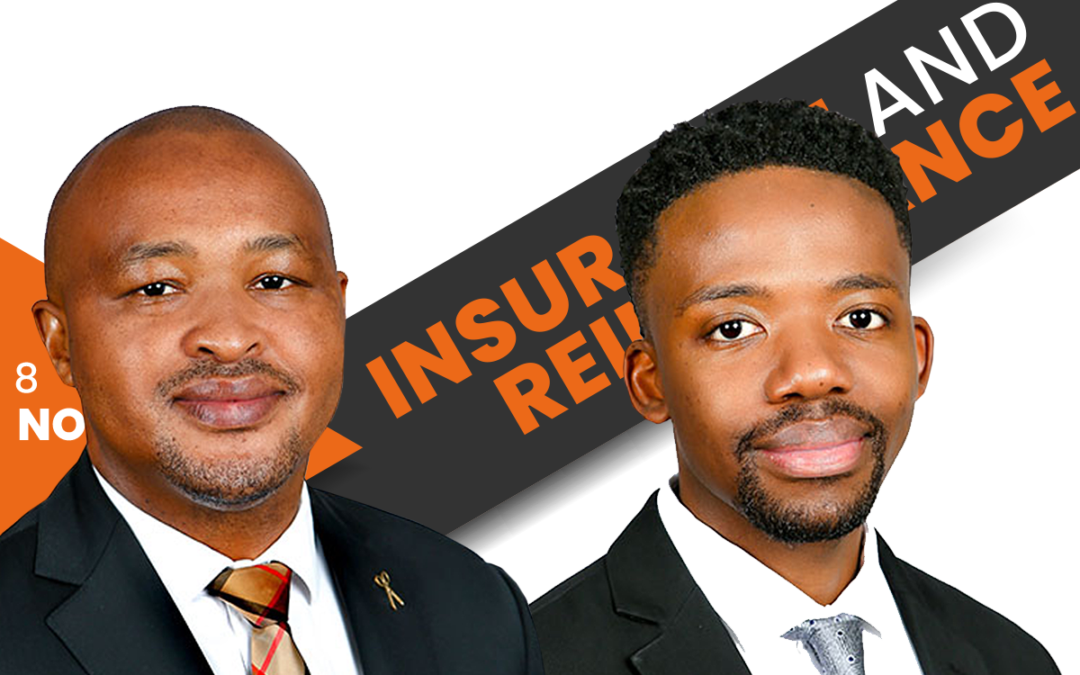 Insurance & Reinsurance Newsletter – November 2022