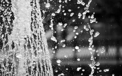 A Guide for South African Businesses on Anti-Money Laundering Legislation