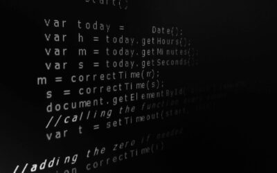 Code Wars: Protecting Software from Copyright Infringement Battles