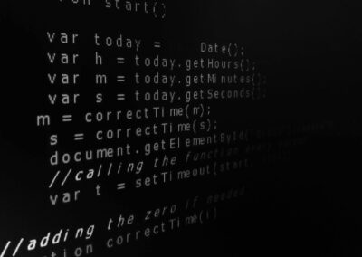 Code Wars: Protecting Software from Copyright Infringement Battles