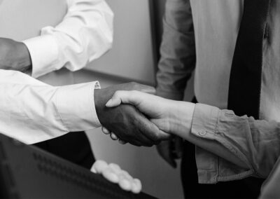 Will the GNU change the future of BEE?